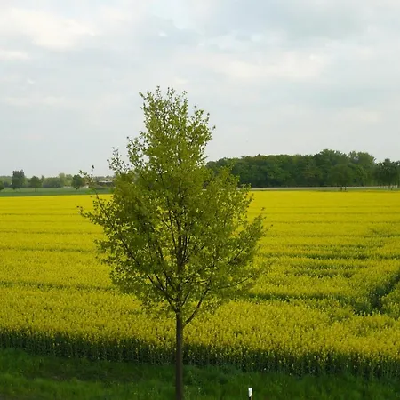 Hotel-gaststätte Mutter Buermann Hotel